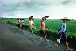 Planters Gallery: Women rice planters walk along a road to work in Bali