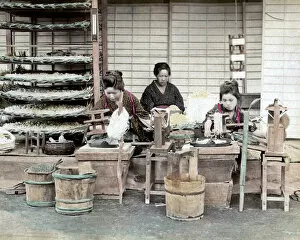 Images Dated 19th October 2009: Women sorting silk worms, Japan