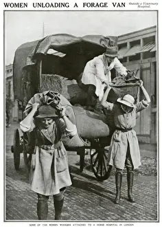 Veterinary Prints: Women unloading van outside veterinary hospital 1918