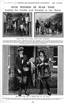 Our Women in War Time - ladies looking after army remounts Our Women in War Time - ladies looking after army remounts