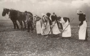 Forks Gallery: Women Work the Land WW1