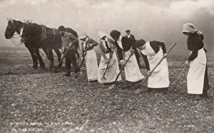 Forks Gallery: Women Work the Land WW1