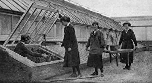 Women working in the hothouses at Windsor, WW1