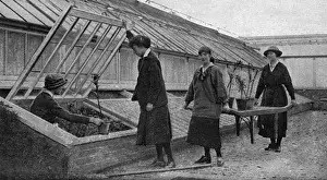 Gardeners Prints: Women working in the hothouses at Windsor, WW1
