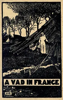 Dent Prints: Women WW1 V. A. Ds