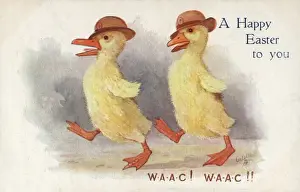 Ducklings Prints: Women WW1 WaC