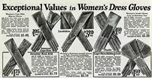 Suede Prints: Womens dress gloves 1924