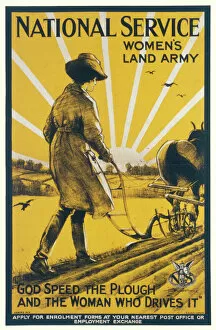 Depicting Collection: Womens Land Army Poster