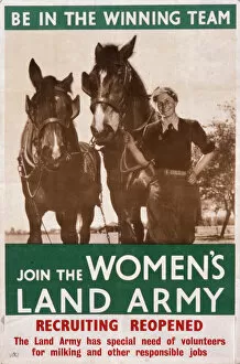 Recruitment Collection: Womens Land Army poster