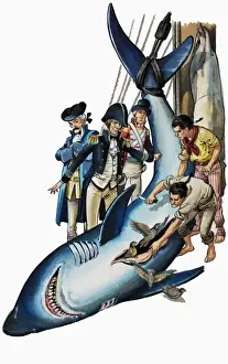 Shark Prints: The Wonderful Adventures of Baron Munchausen