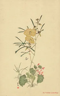 Reproduction Prints: Wood block print by Matsumura Keibun