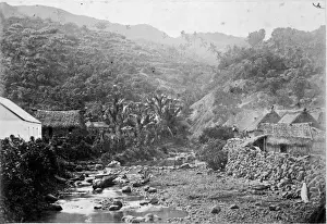 Waterfall Prints: Wood scenery with waterfall, Levuka, Fiji Islands