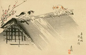 Fights Prints: Woodblock print - Japan - Two cats fight on a roof
