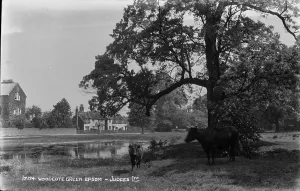 Epsom Prints: Woodcote Green, Epsom