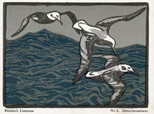 Images Dated 8th June 2021: Woodcut: Three birds over waves