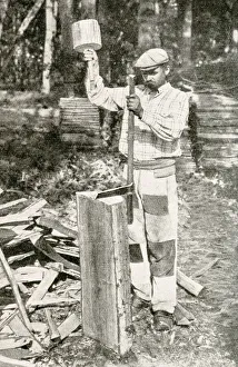 Images Dated 23rd August 2018: Woodcutter at work, Chambord, Loir-et-Cher, France