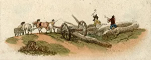 Chop Gallery: WOODCUTTERS CHOP LOGS