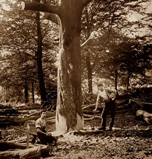 Woodcutters, England, Victorian period