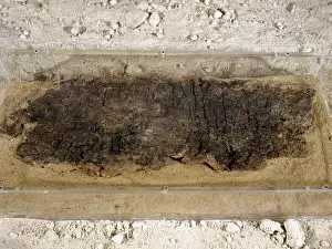 Tray Prints: Wooden tray. C. 48000 BC. fromr ockshelter of Abric Romani
