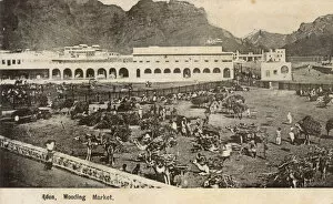 Aden Gallery: Wooding (Camel) Market, Crater (Kraytar), Aden