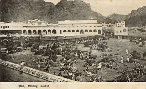 Images Dated 27th October 2016: Wooding (Camel) Market, Crater (Kraytar), Aden