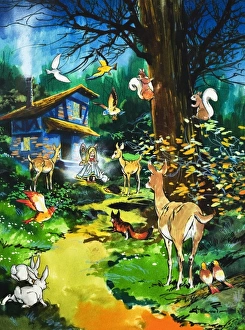 Images Dated 12th September 2006: Woodland animals visit a fairy house
