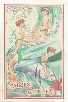 Woodland Fairies