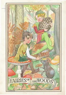 Woodland Fairies