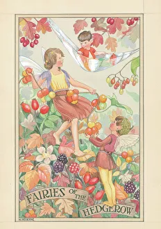 Woodland Fairies