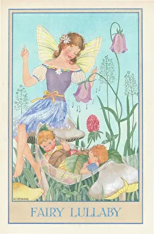Woodland Fairies