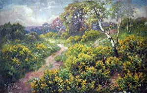 Gorse Prints: Woodland path with gorse