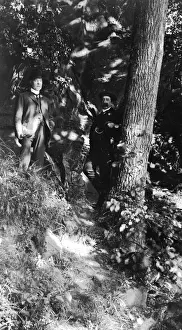Ellesmere Prints: Woodland scene near Ellesmere, Shropshire