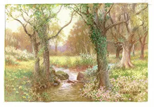 Images Dated 17th September 2018: Woodland Stream in Springtime