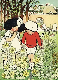 Into the woods