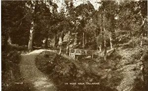 Callander Prints: The Woods & Bridge, Callander, Stirlingshire