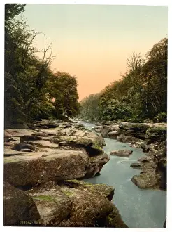 Woods, the Strid, Bolton Abbey, England
