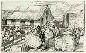 Argentinian Gallery: WOOL BALES IN ARGENTINA