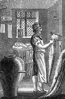 Comber Prints: Wool-Comber