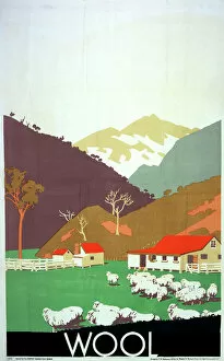 Zealand Collection: Wool Poster