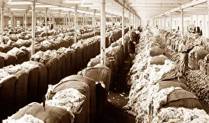Settler Prints: Wool showroom Sydney Australia New South Wales