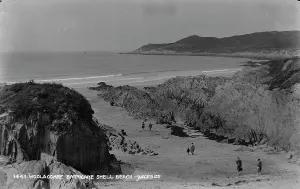 Woolacombe Prints: Woolacombe Barricade Shell Beach