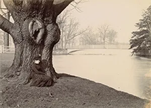 Wolff Prints: Woolfe family of The Clough, Hale, Bucklow, Cheshire