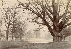 Wolff Prints: Woolfe family of The Clough, Hale, Bucklow, Cheshire
