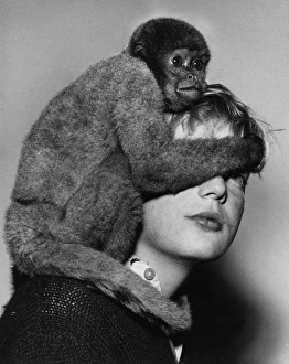 Images Dated 26th January 2017: Woolly monkey and boy