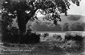 Woolstanbury Hill