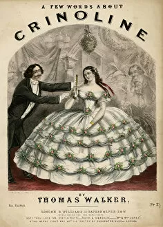 Leans Gallery: Words About Crinoline