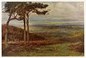 Wordsworth Prints: Wordsworth / Alfoxden