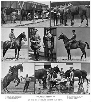 Adjutant Gallery: At work in the English Army Remount Camp Depot, WW1