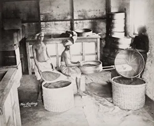Workers in a tea factory on a plantation, India