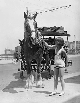 British Seaside Gallery: Working Horse Lunch